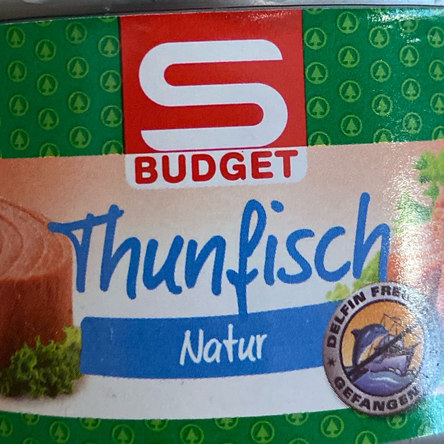 Thunfisch Natur