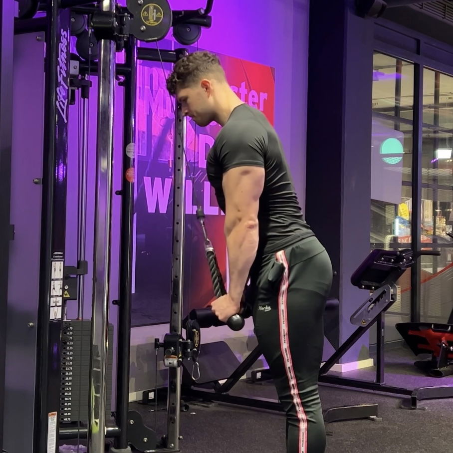 Trizeps Extension am Kabelzug