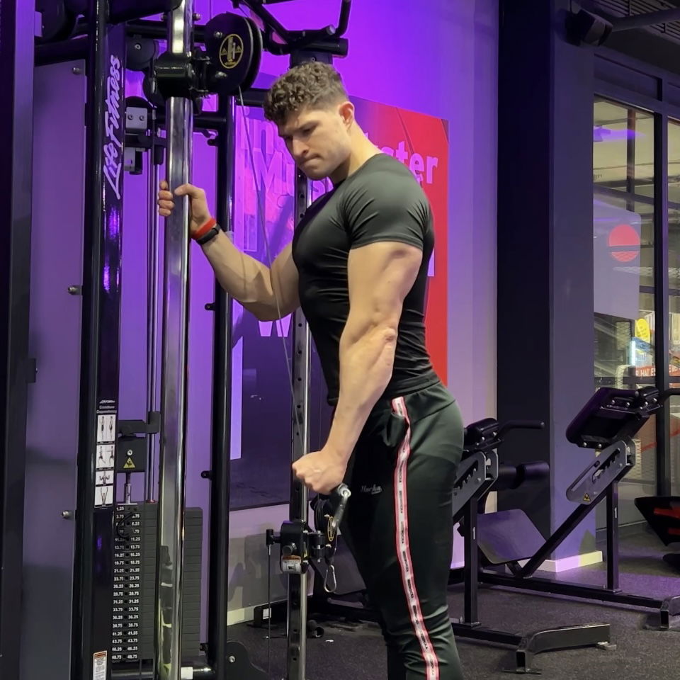 Trizeps Extension unilateral