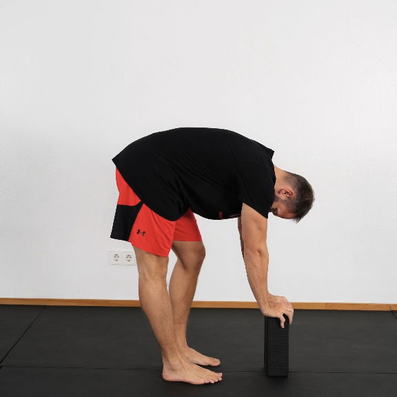 Elefant Walk (ggf. mit Erhöhung)