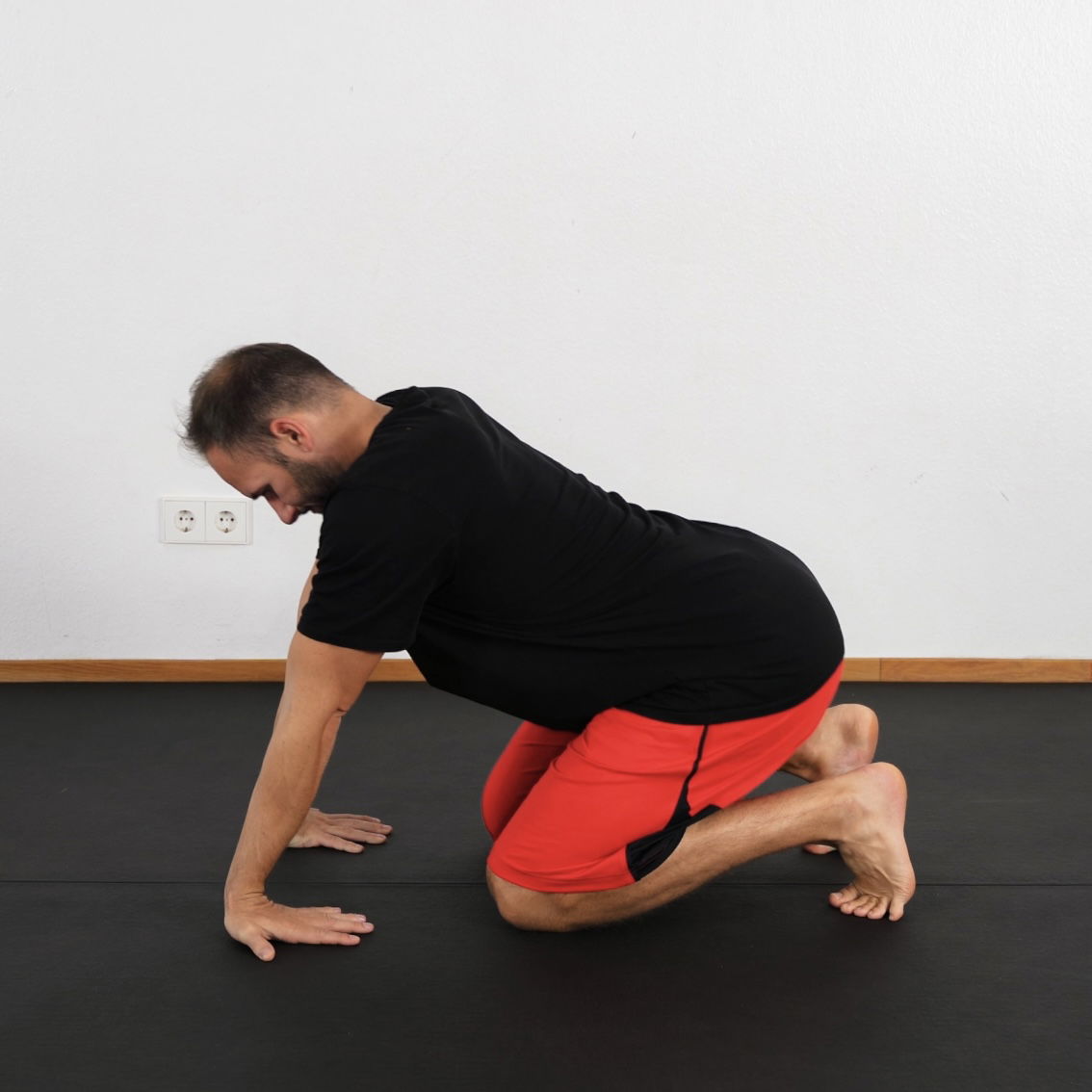 Unterarm Stretch im 4-Füßler dynamisch