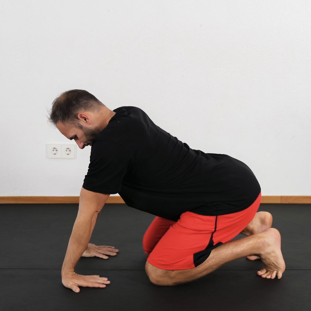 Unterarm Stretch im 4-Füßler passiv