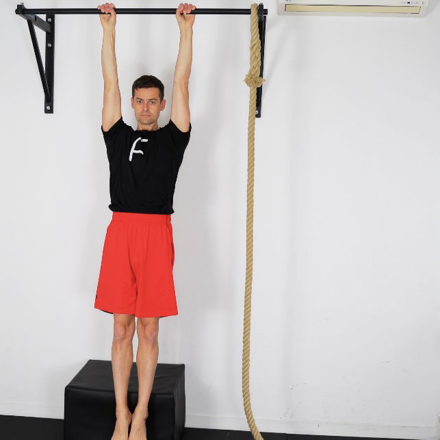 Active Hang pronated