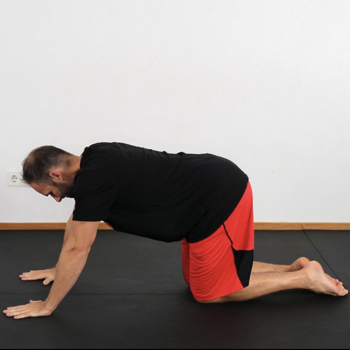 Handteller Pushup