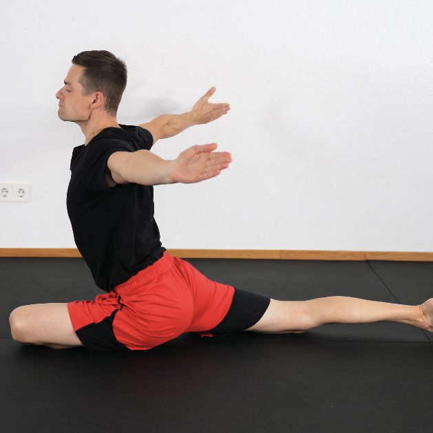 Pigeon Queen + End Range Contractions