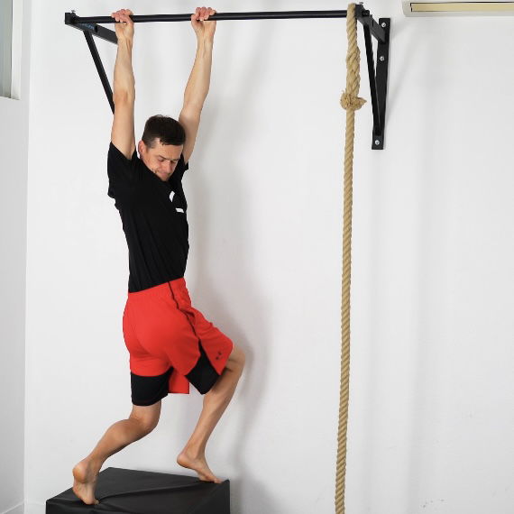 Dead Hang pronated / assisted