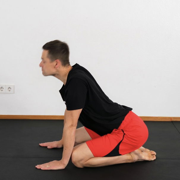 Cat Cow Forarm to Knee