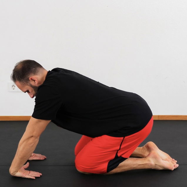 Handrücken Stretch 4 Füßler dynamisch