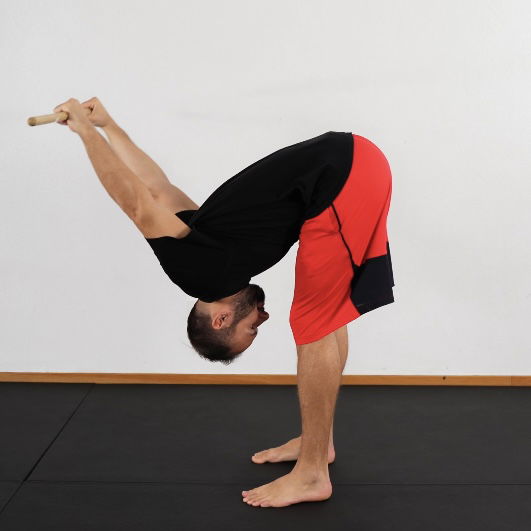 Stick Shoulder Extension