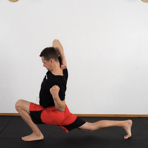 S&F Rotational Split Squat+5 Peak Contractions