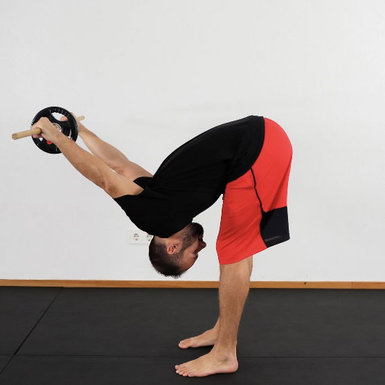 Stick Shoulder Extension Loaded