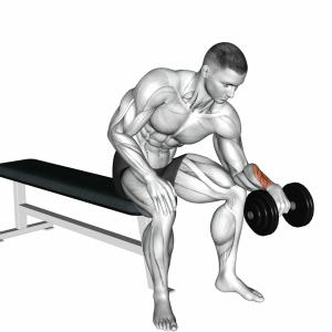 Unterarm Curls Reverse