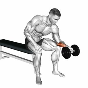 Unterarm Curls