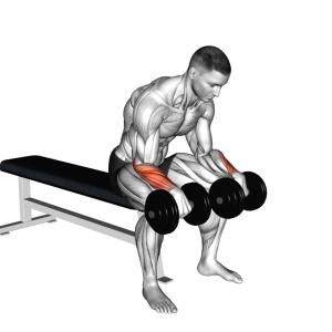 Unterarm Curls Reverse