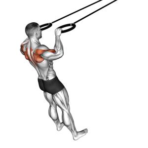 Face Pulls