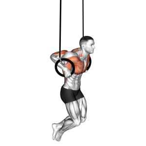 Ring Dip Hold