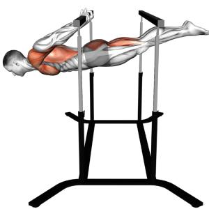 Back Lever Background