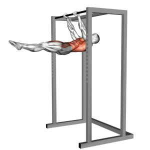 Front Lever Background