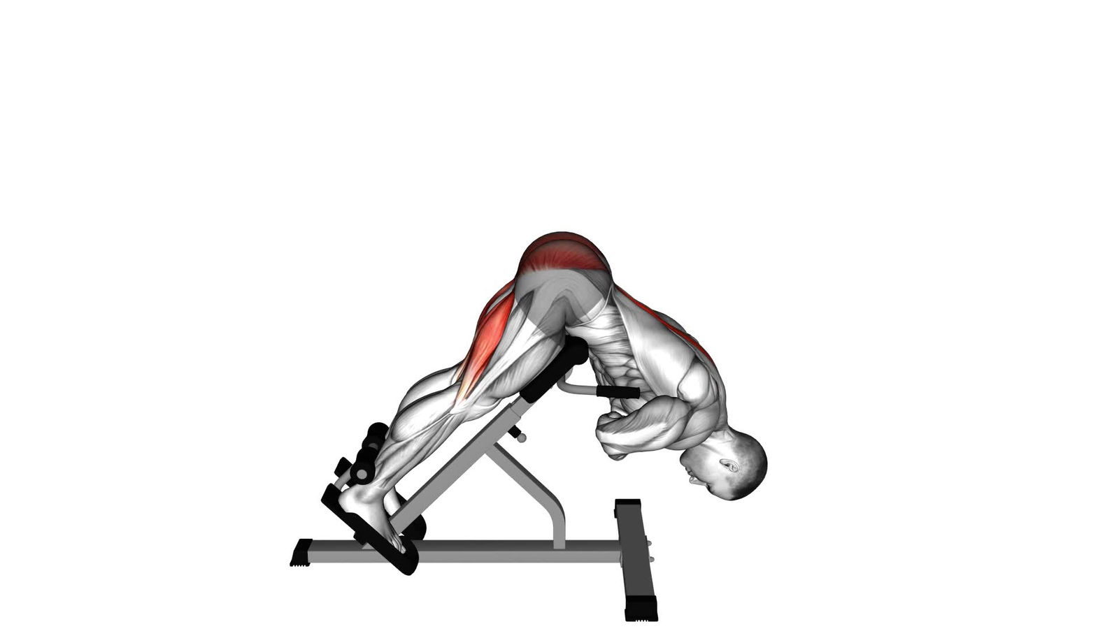 (Fokus auf Po/Hamstrings)