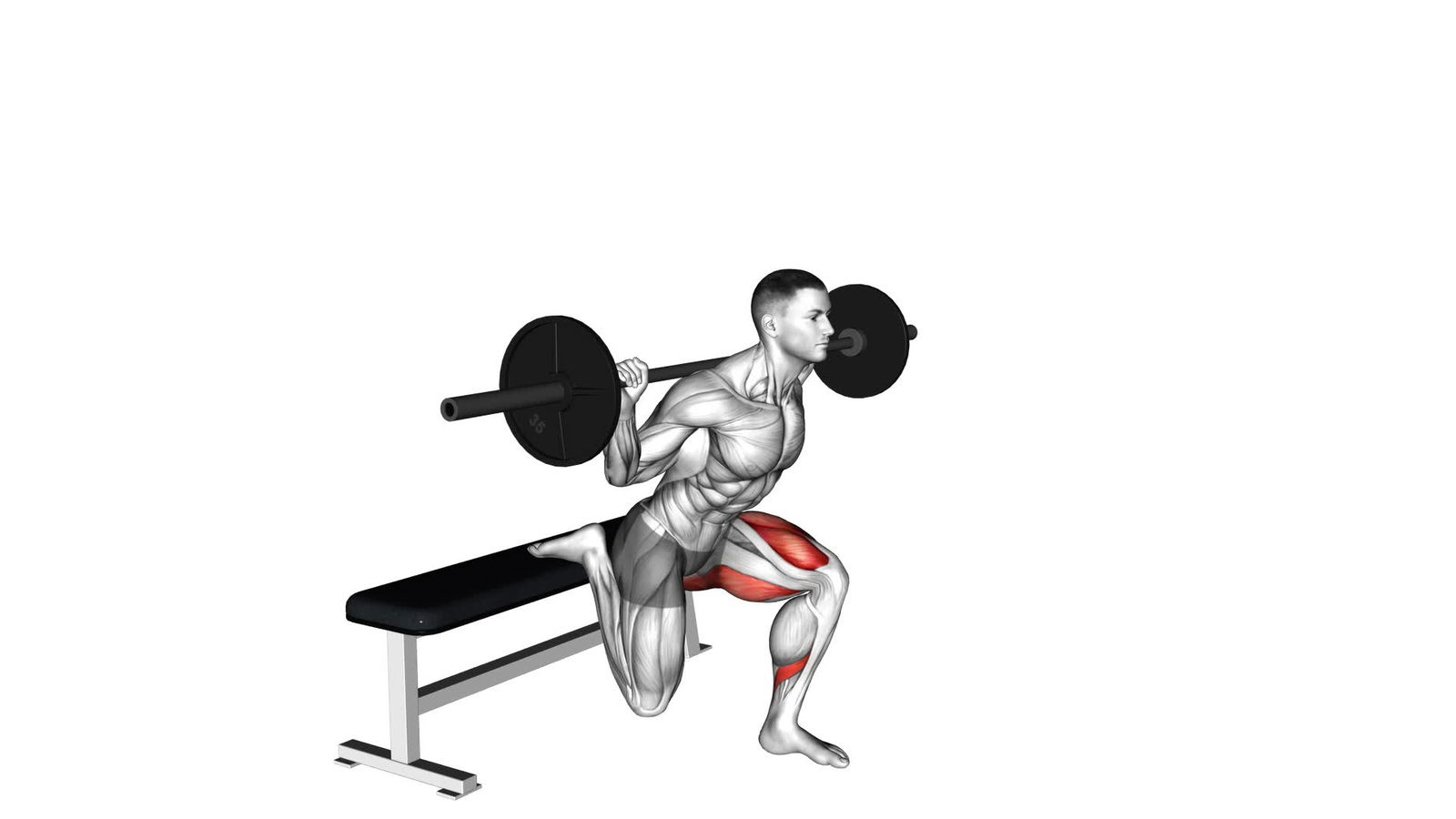 Bulgarian Split Squat