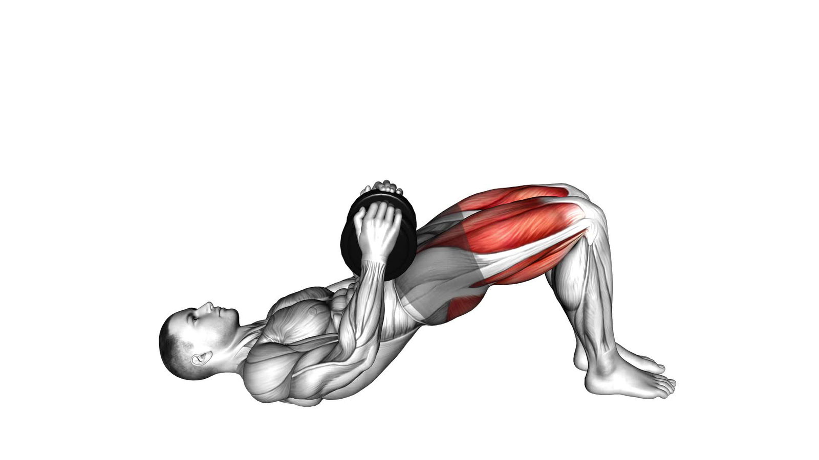 Glute Bridge