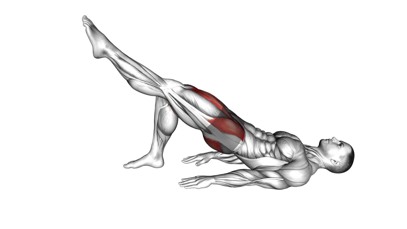 Glute Bridge