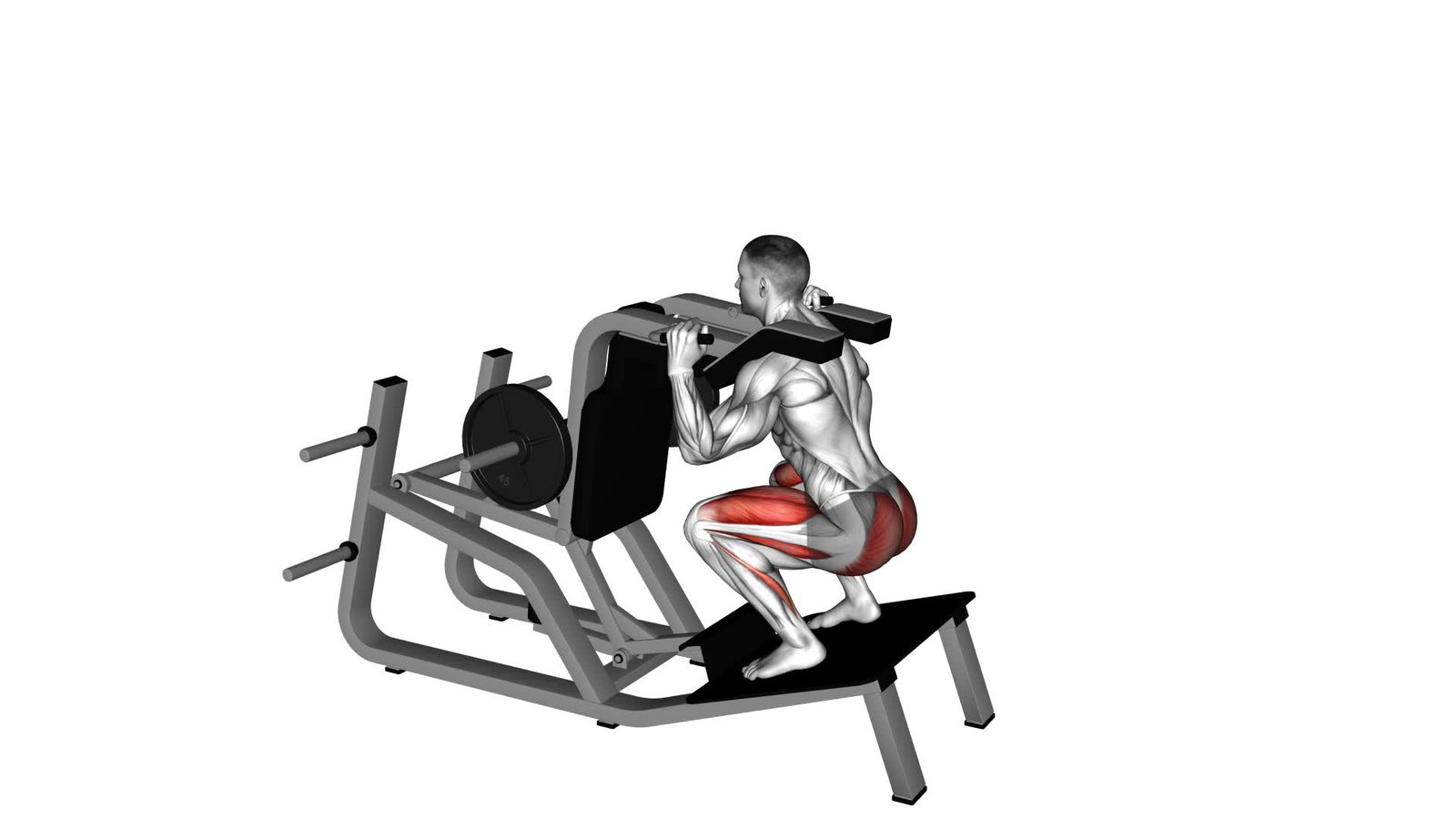 Hackenschmidt Kniebeuge