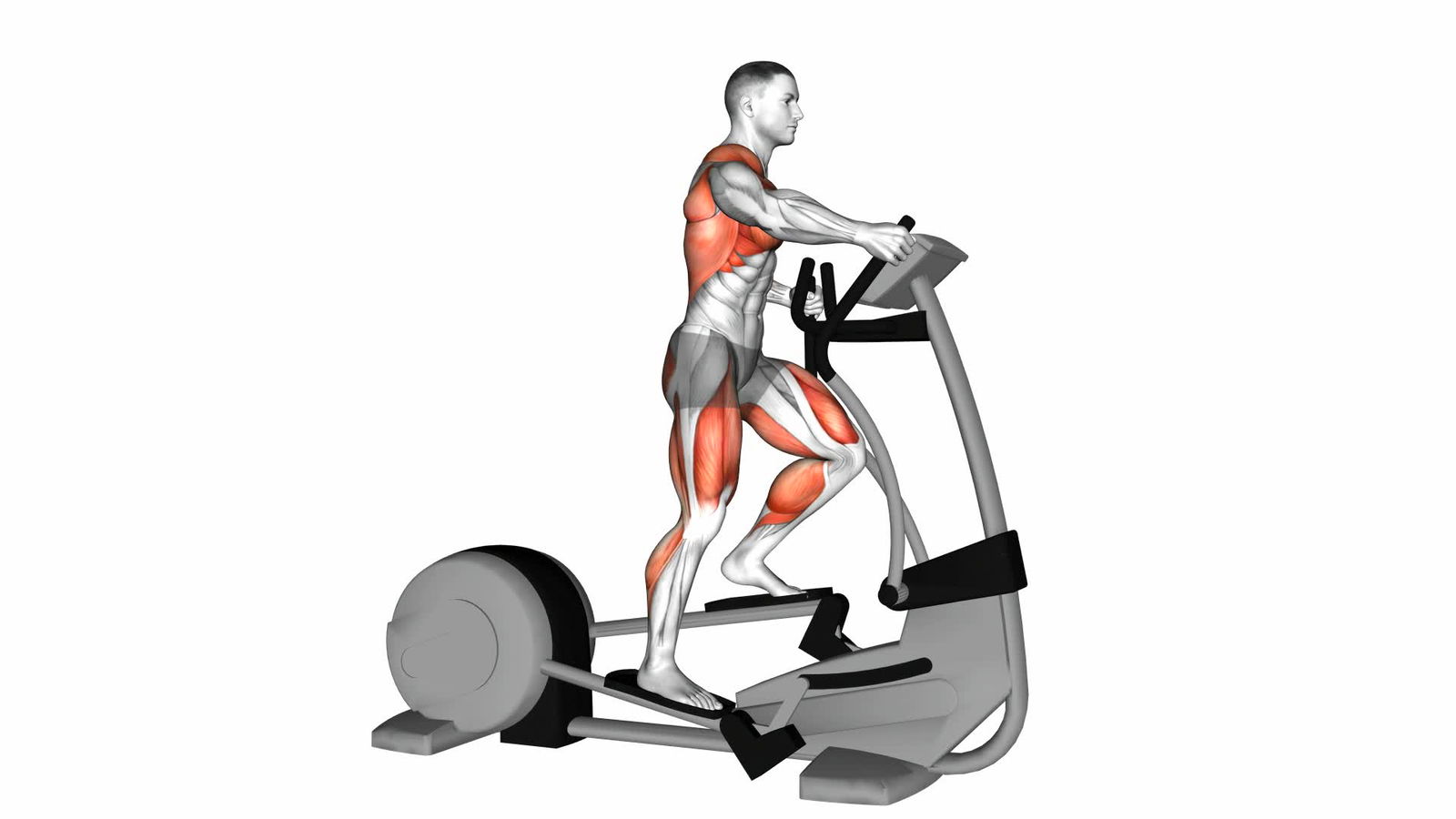 Crosstrainer
