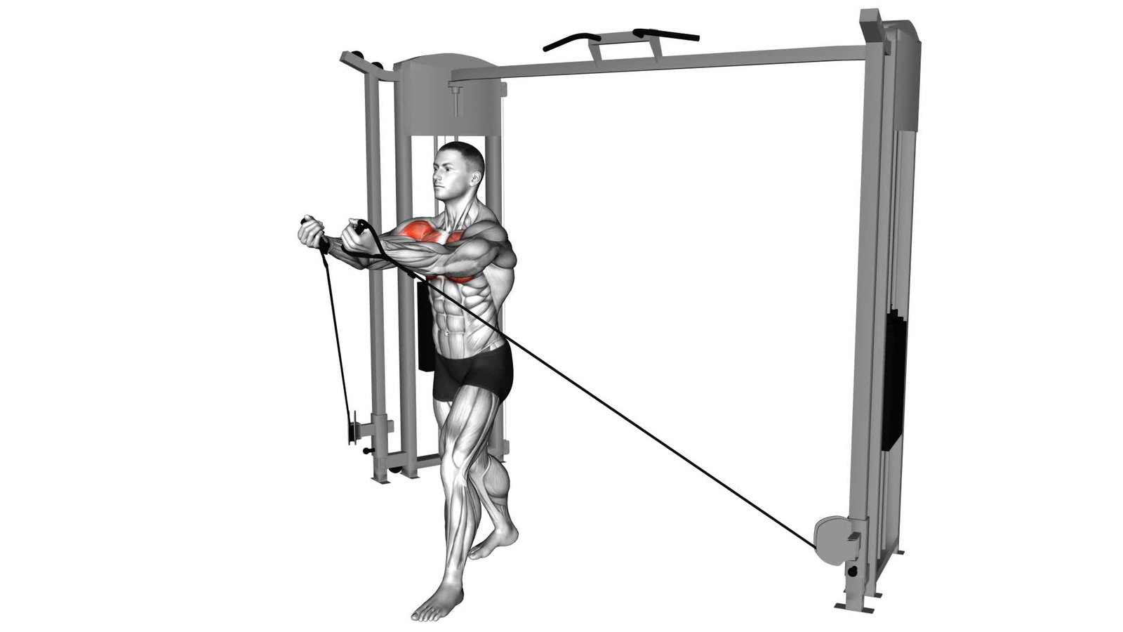 Einarmige Fly's am Kabelzug von unten