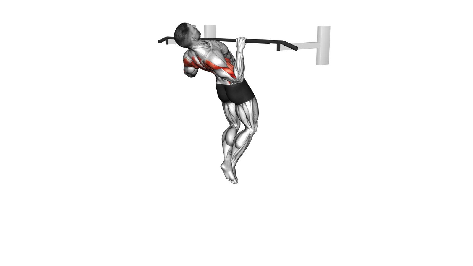 Chest to Bar