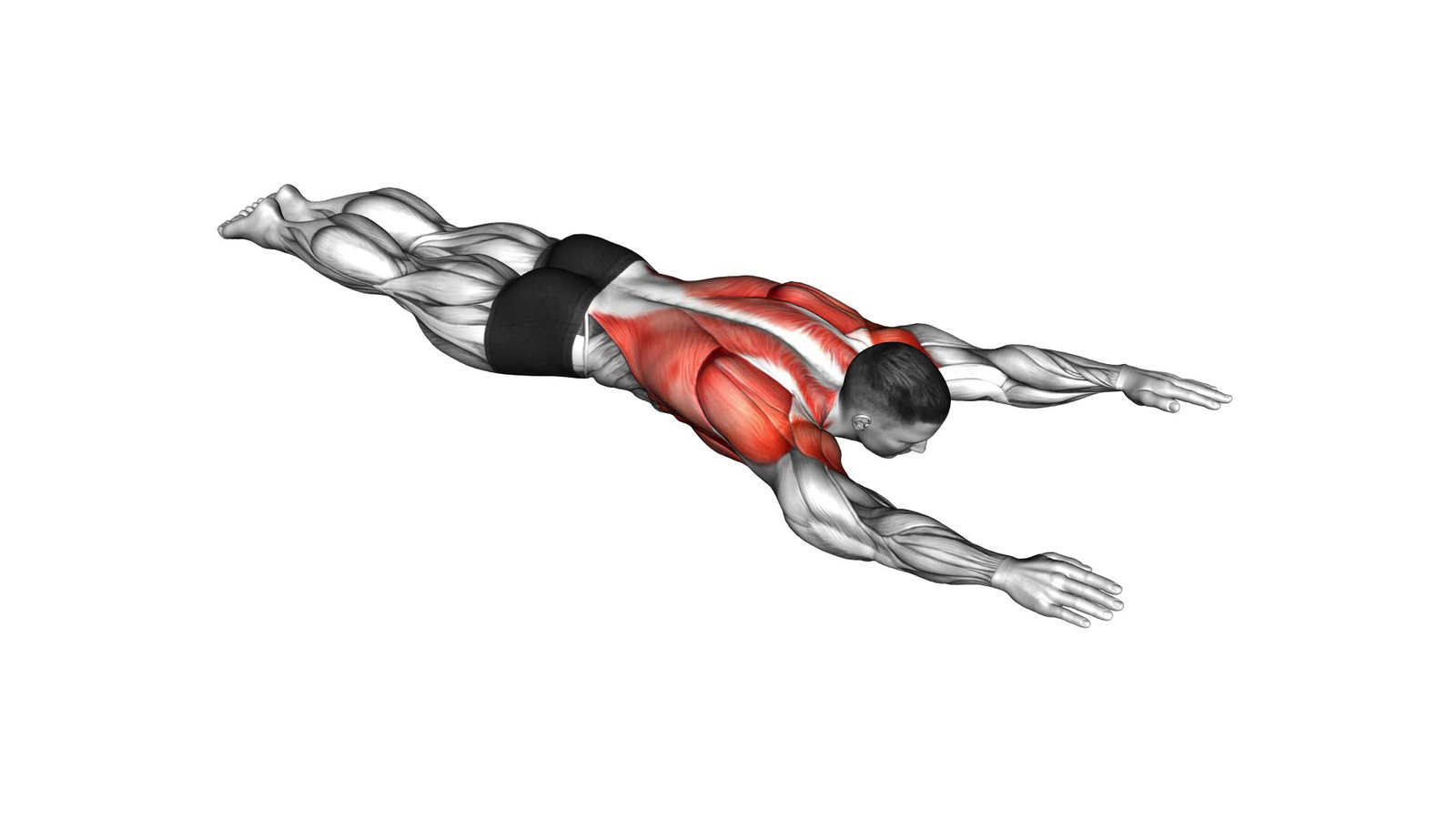 Lying Around the World