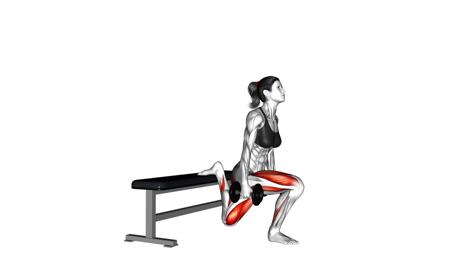 Bulgarian Split Squat auf Erhöhung (Fokus auf Po)