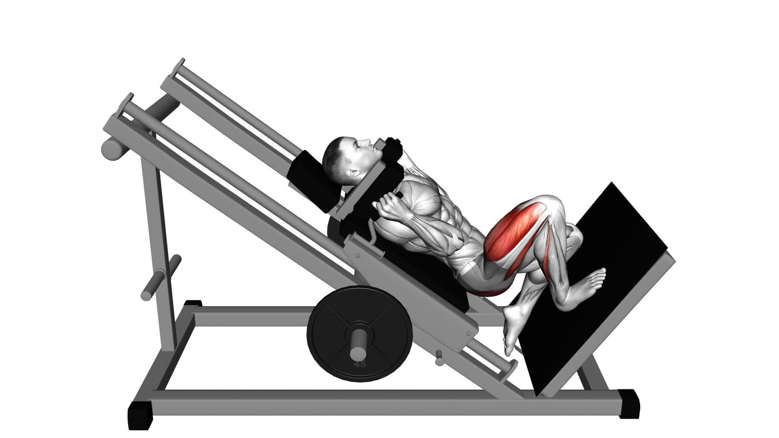 Hackenschmidt Kniebeuge
