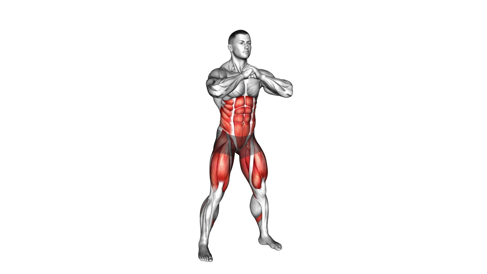 Kniebeuge + Knieheben