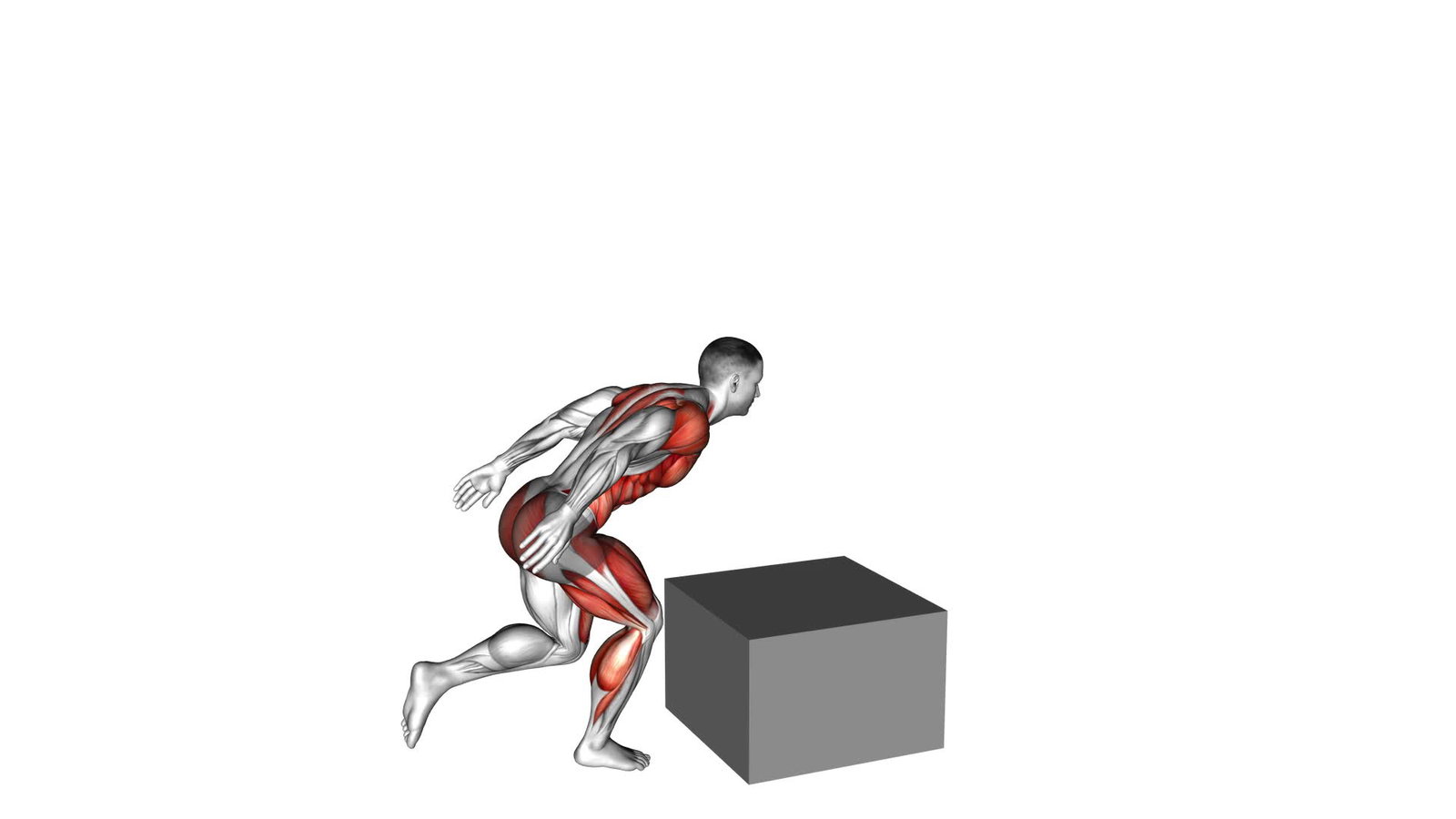 Box Jumps