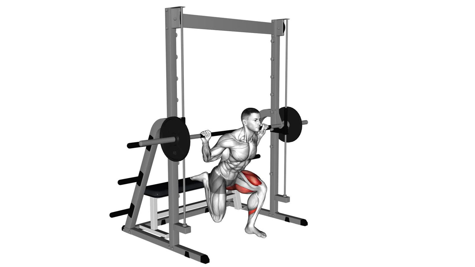 Bulgarian Split Squat