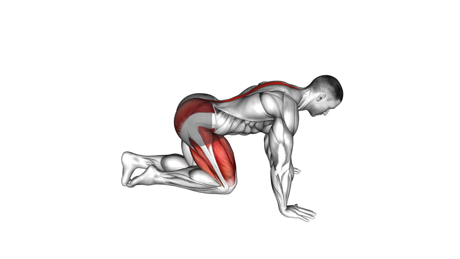 Kickback + Kickback zur Seite