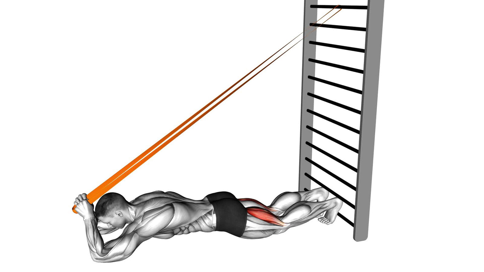 Nordic Hamstring Curls