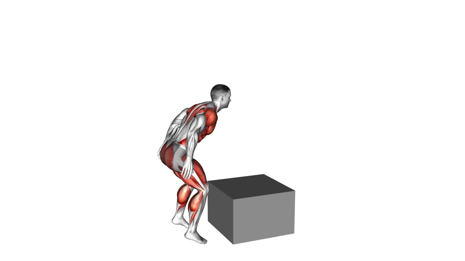Box Jumps