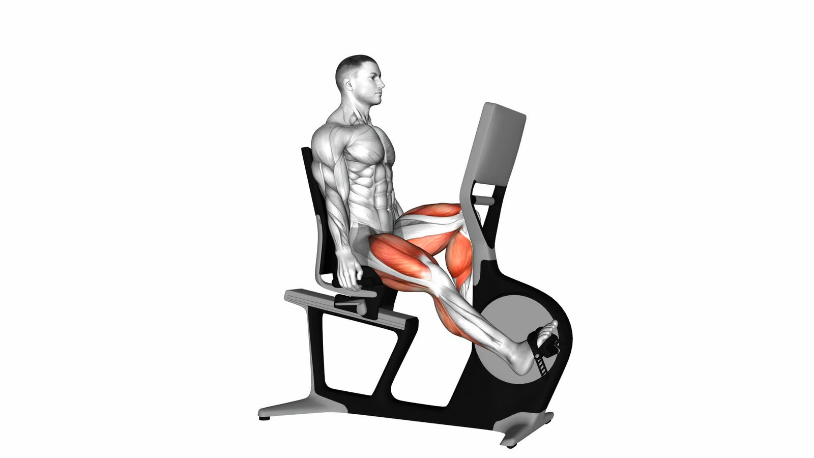 Sitz Ergometer