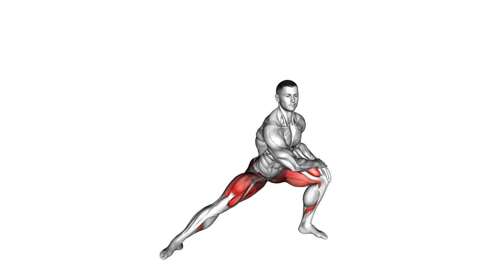 Side Lunge Stretch