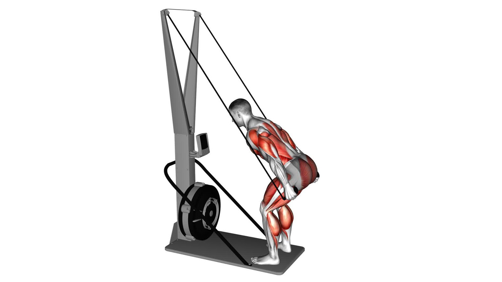 Ski Ergometer