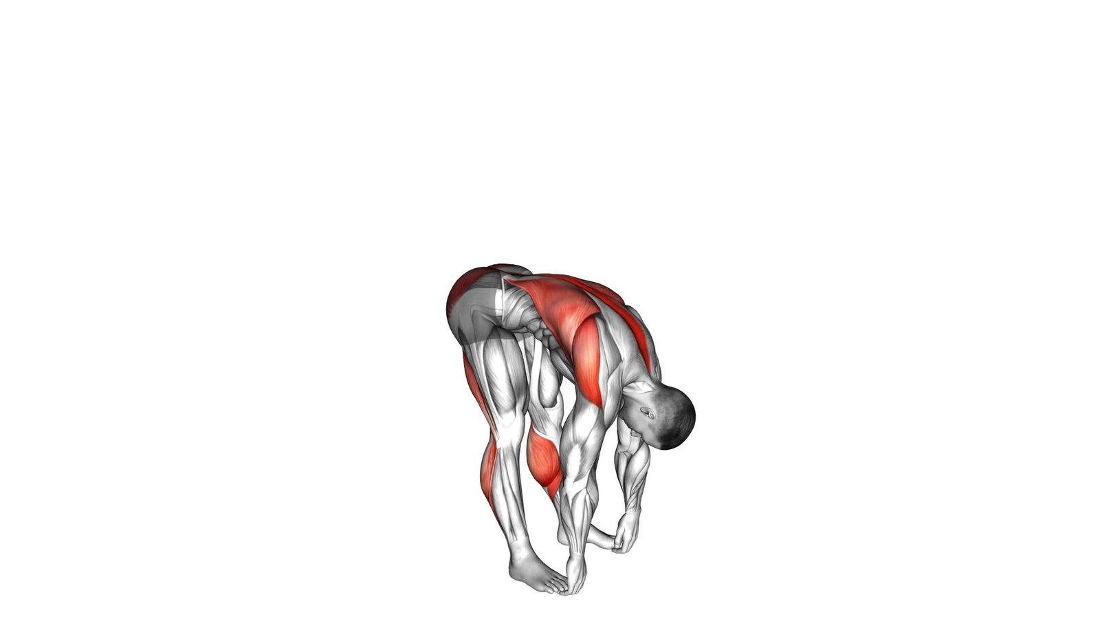 Hamstrings dehnen stehend