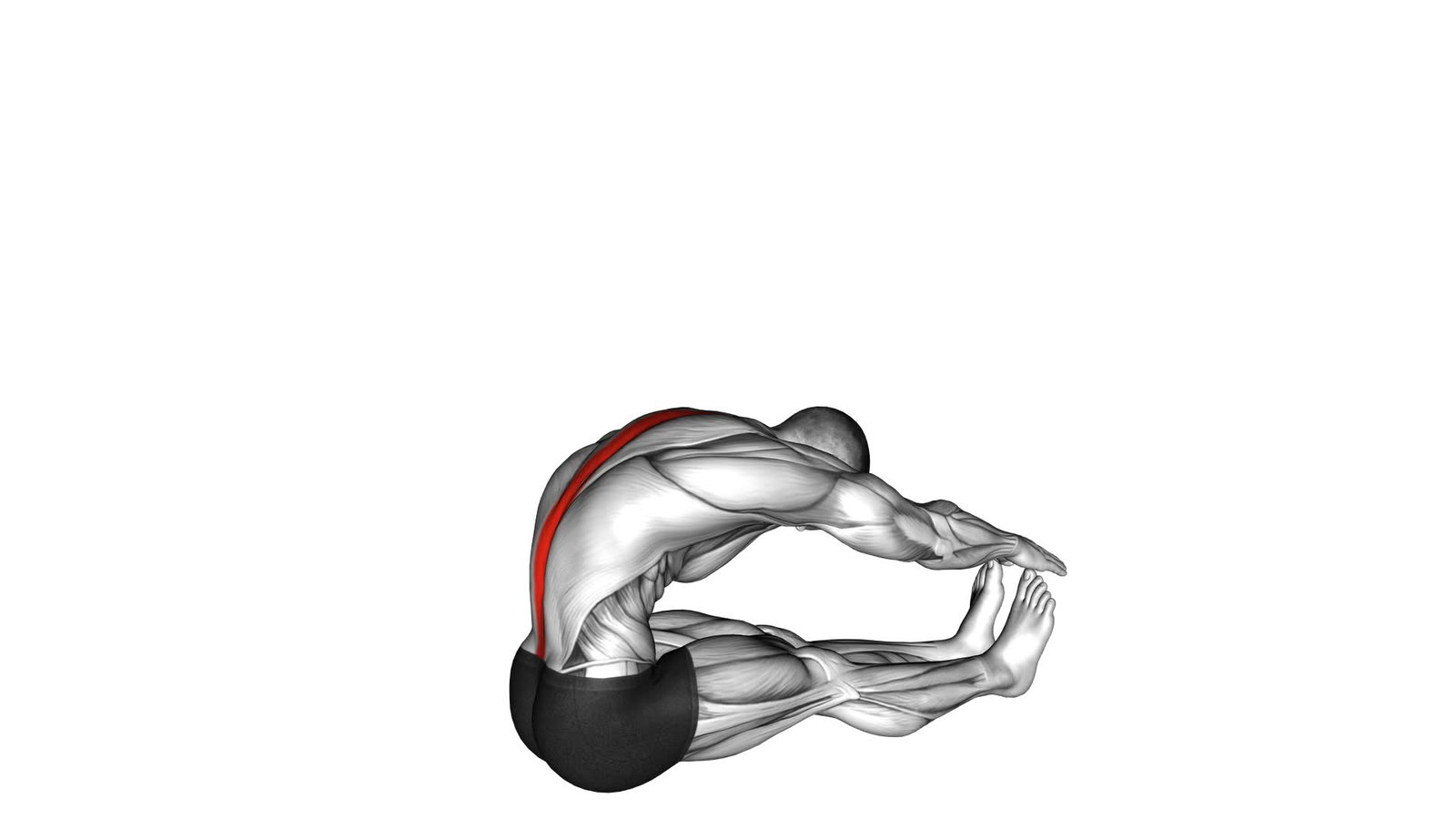 Rückenstrecker dehnen