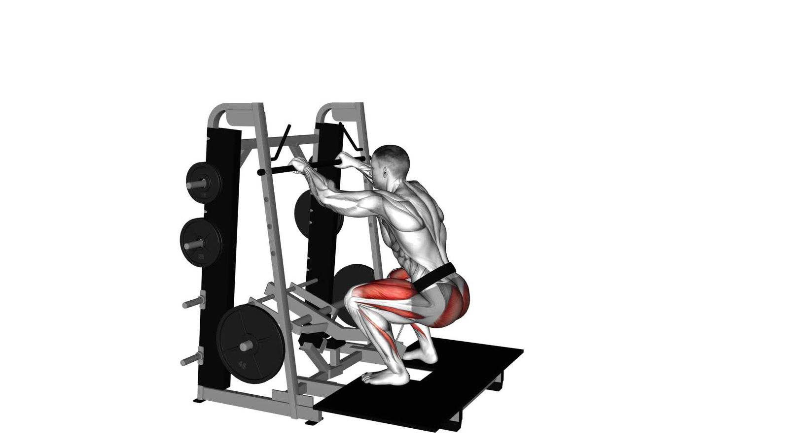 Belt Squat