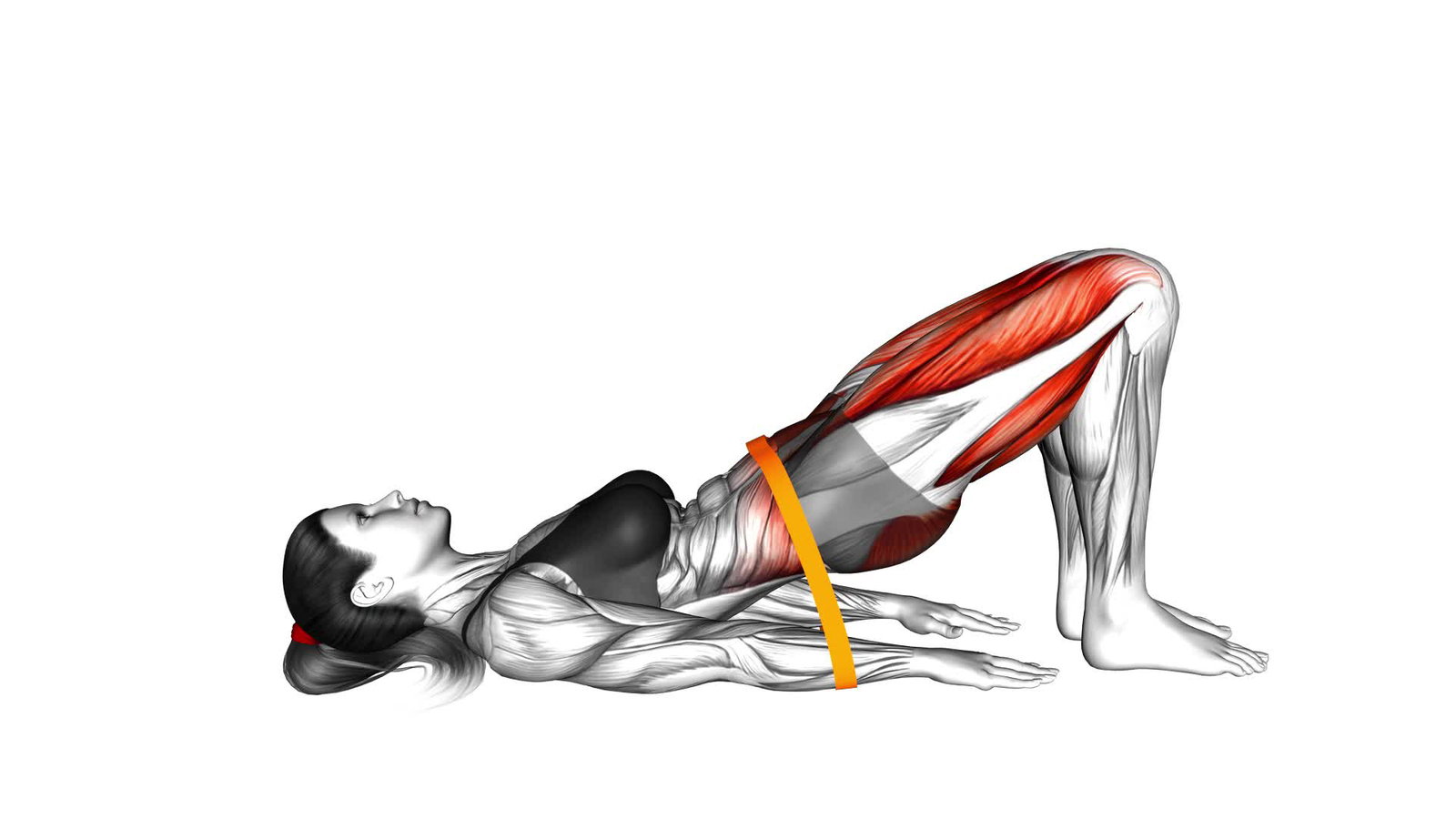 Glute Bridge