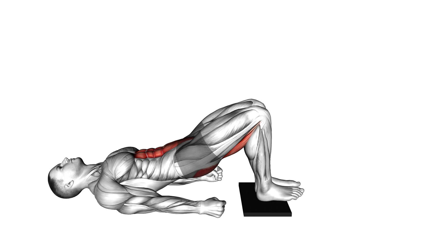 Glute Bridge