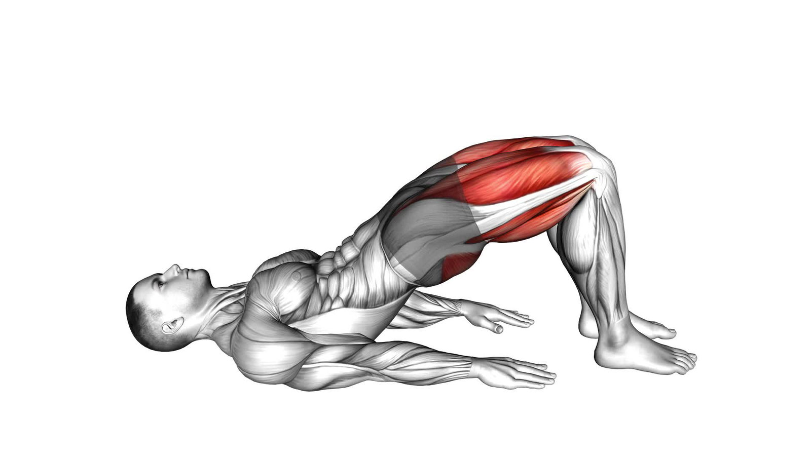 Glute Bridge