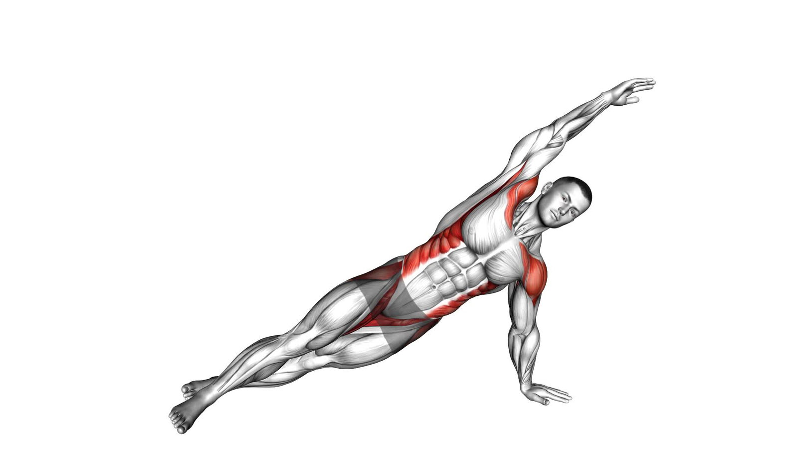 Side Plank