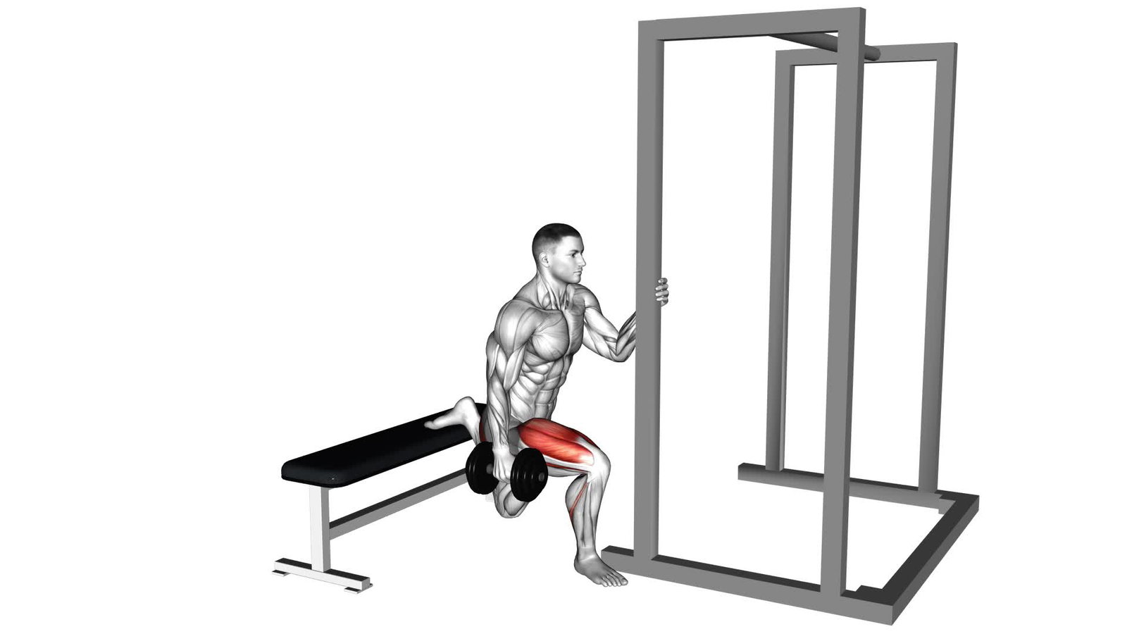 Bulgarian Split Squat